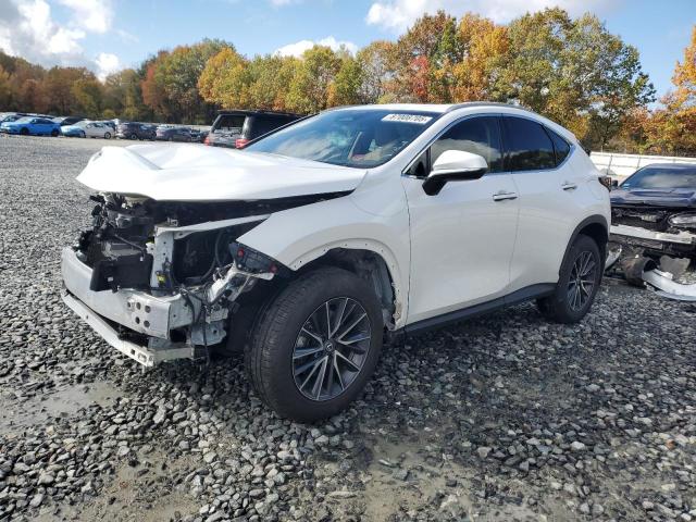 2024 LEXUS NX 350 BAS — VIN 2T2AGCEZ1RC034102