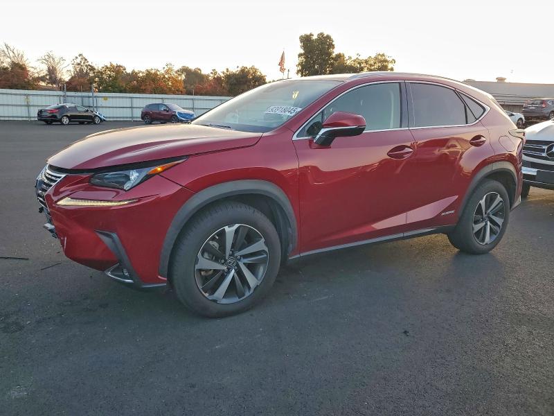 2020 LEXUS NX 300H — VIN JTJGJRDZ0L5004949